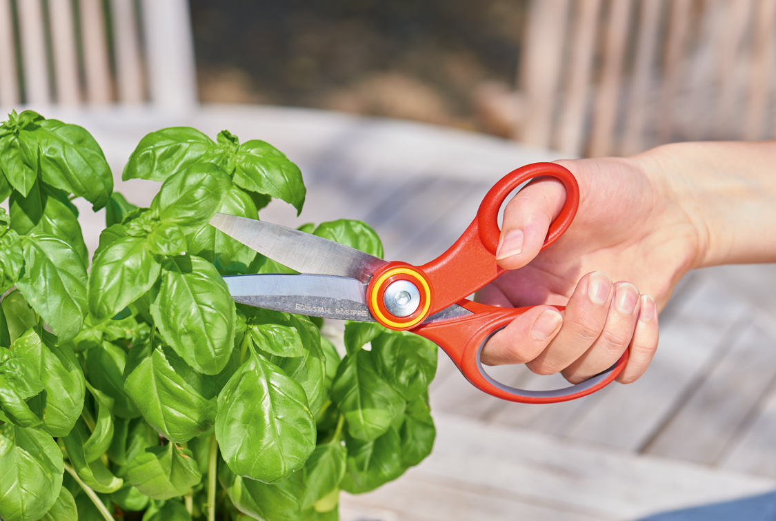 Wolf Garten Handle And Fruit Picker