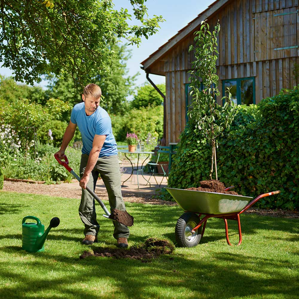 Spades and Accessories