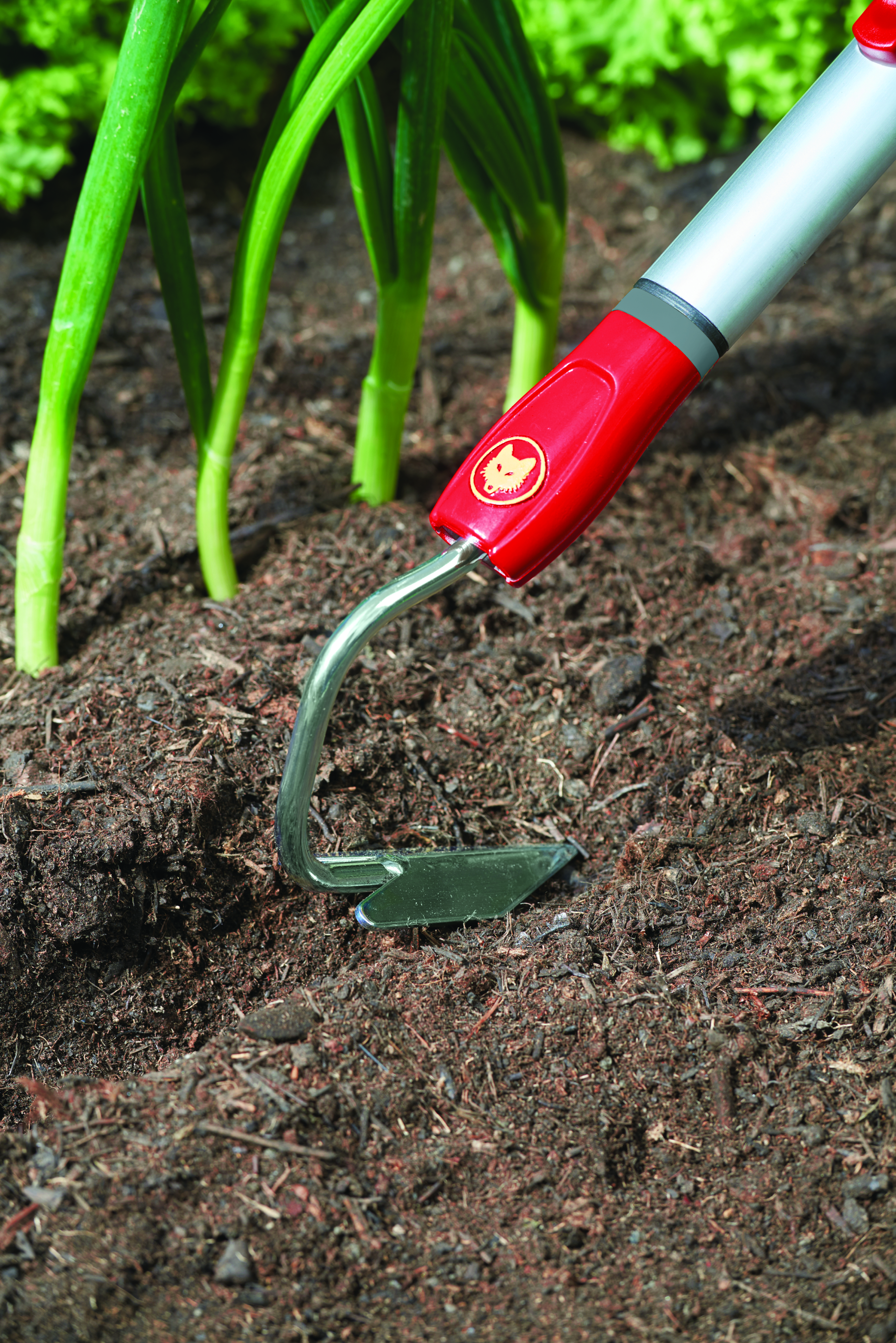 650_71_Bi-M_B10_2018_01_71AAA005650 copy.jpg