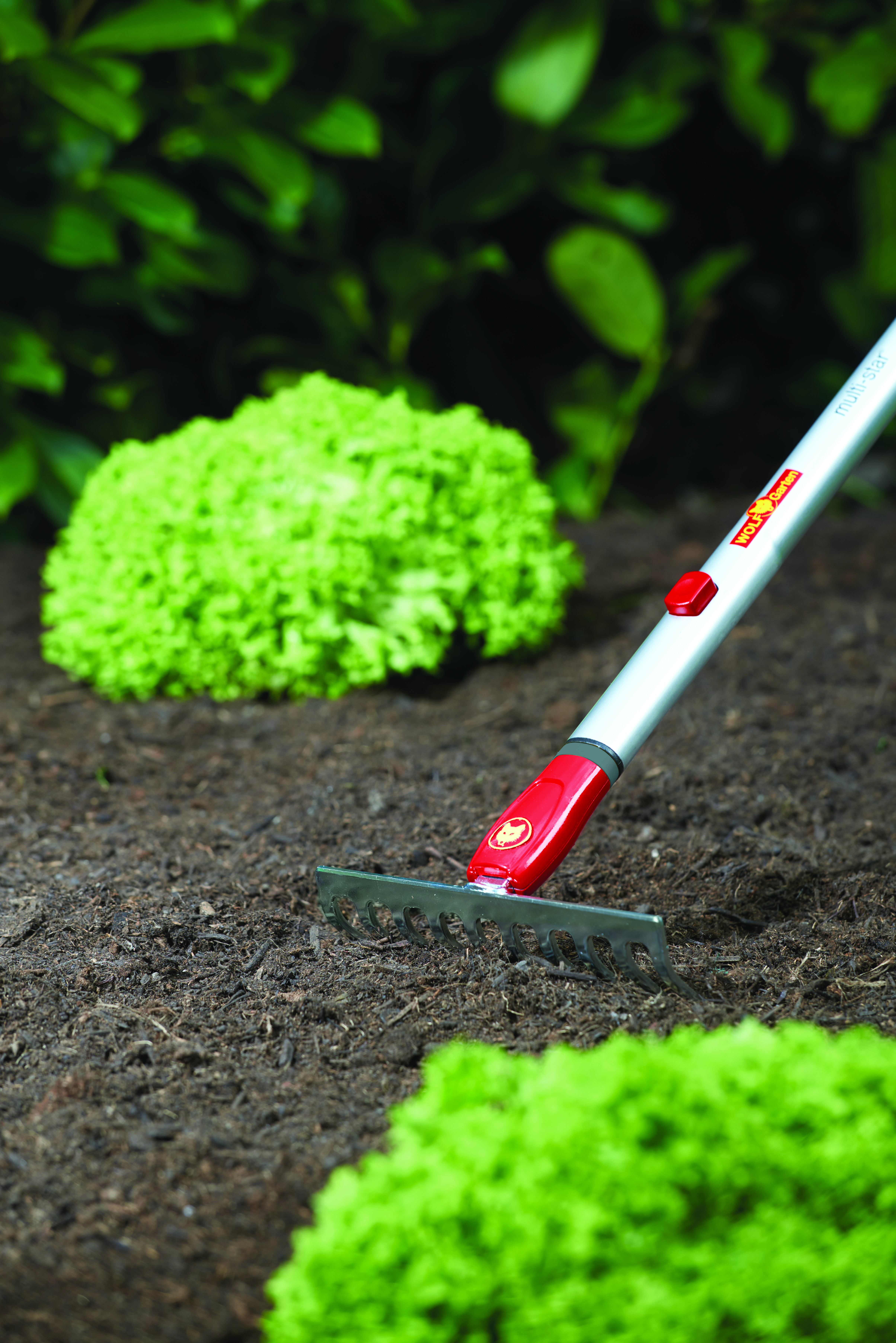 650_71_DS-M19_B10_2018_01_71AAA026650 copy.jpg