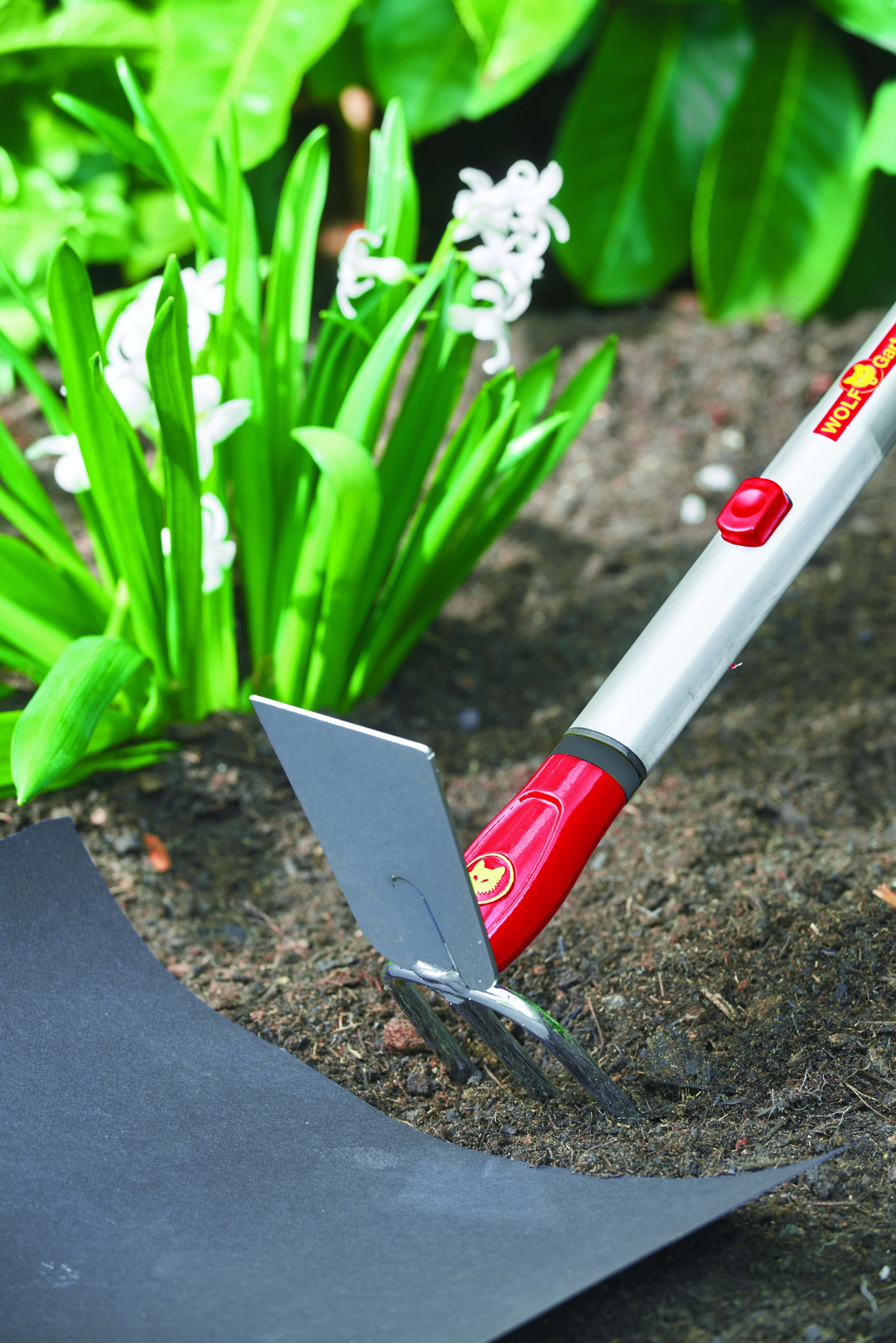 650_71_iL-M3_B10_2018_01_71AAA017650 copy.jpg