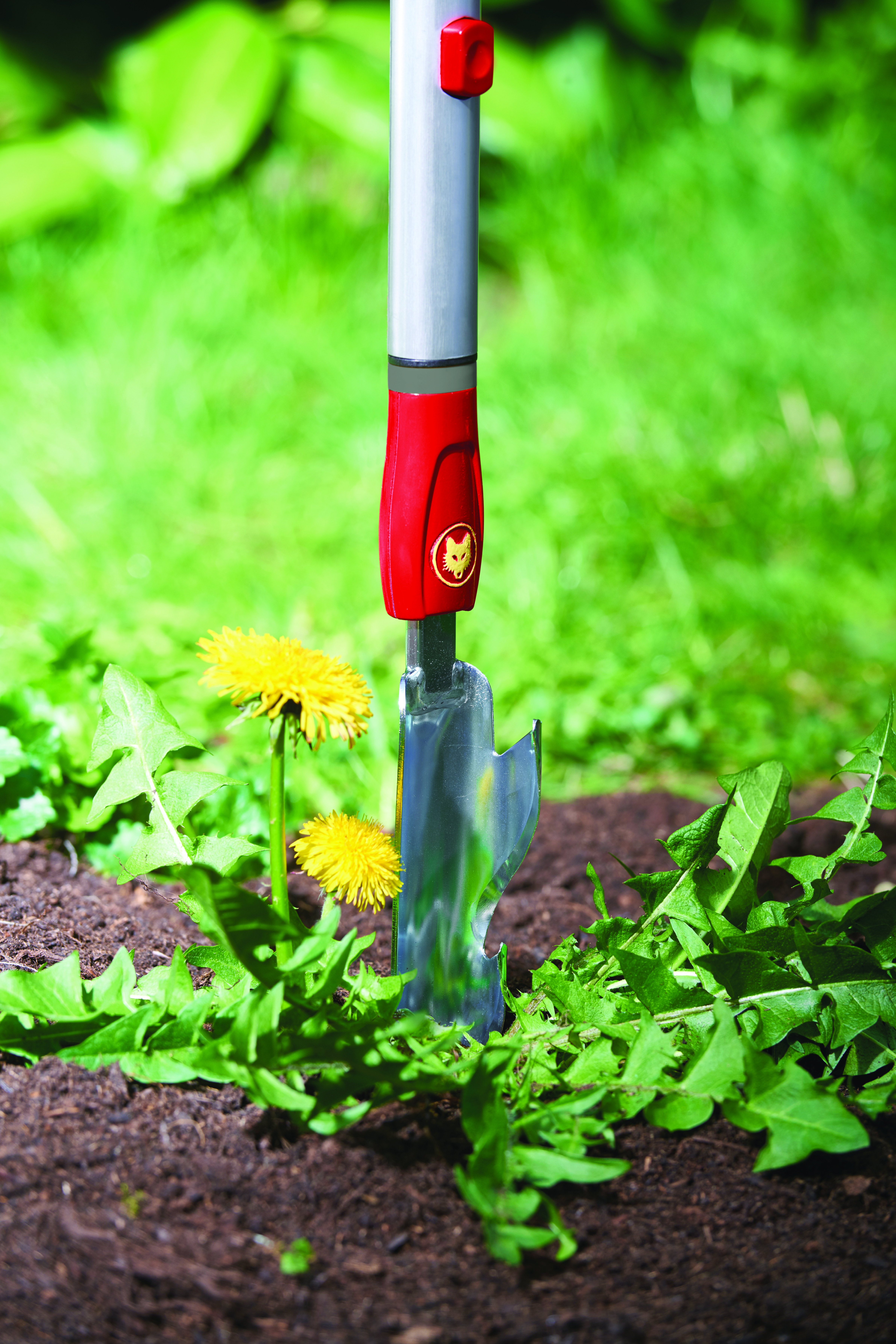 650_71_IW-M_B10_2018_01_71AAA022650 copy.jpg