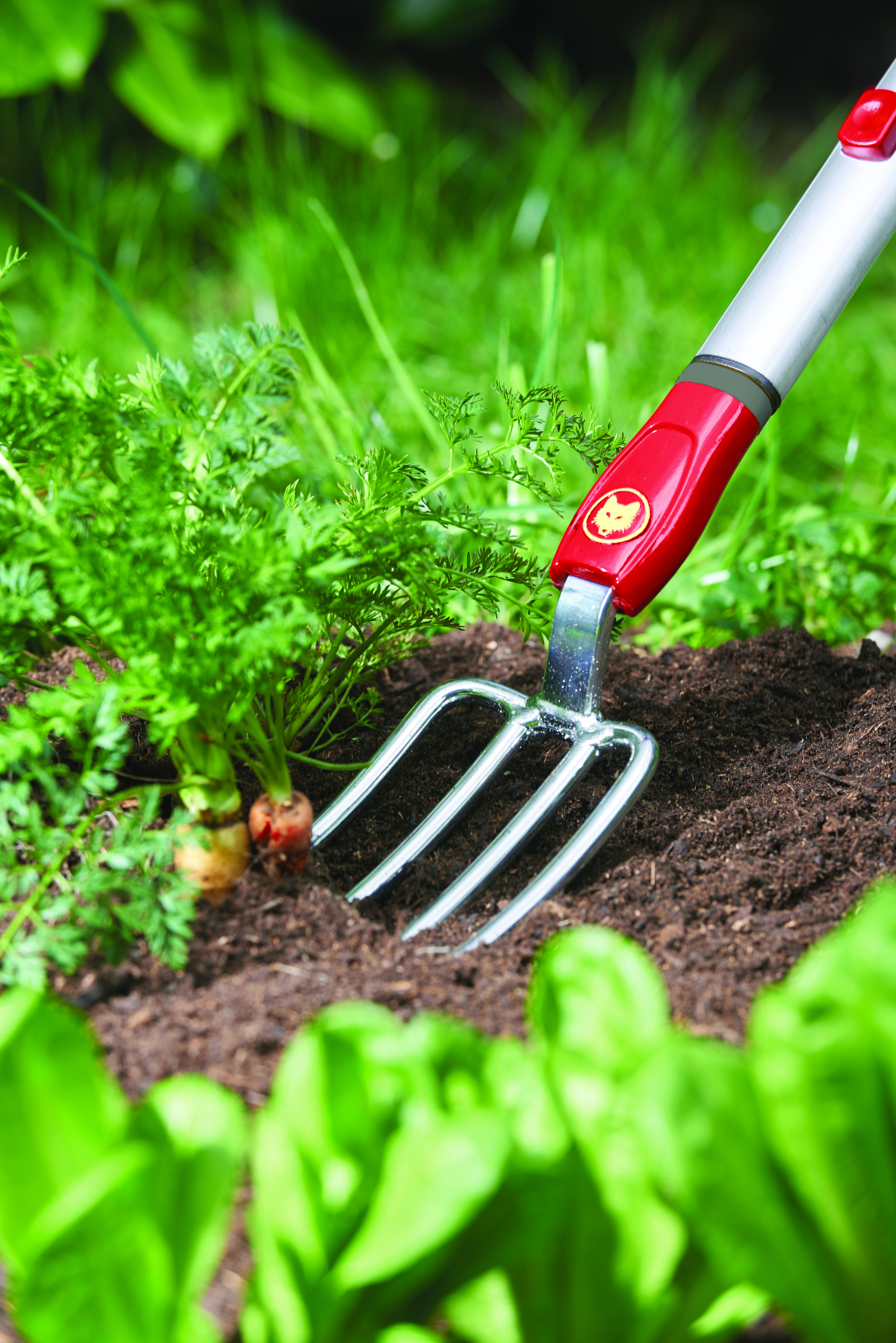 650_71_LU-GM_B10_2018_01_71AAA018650 copy.jpg