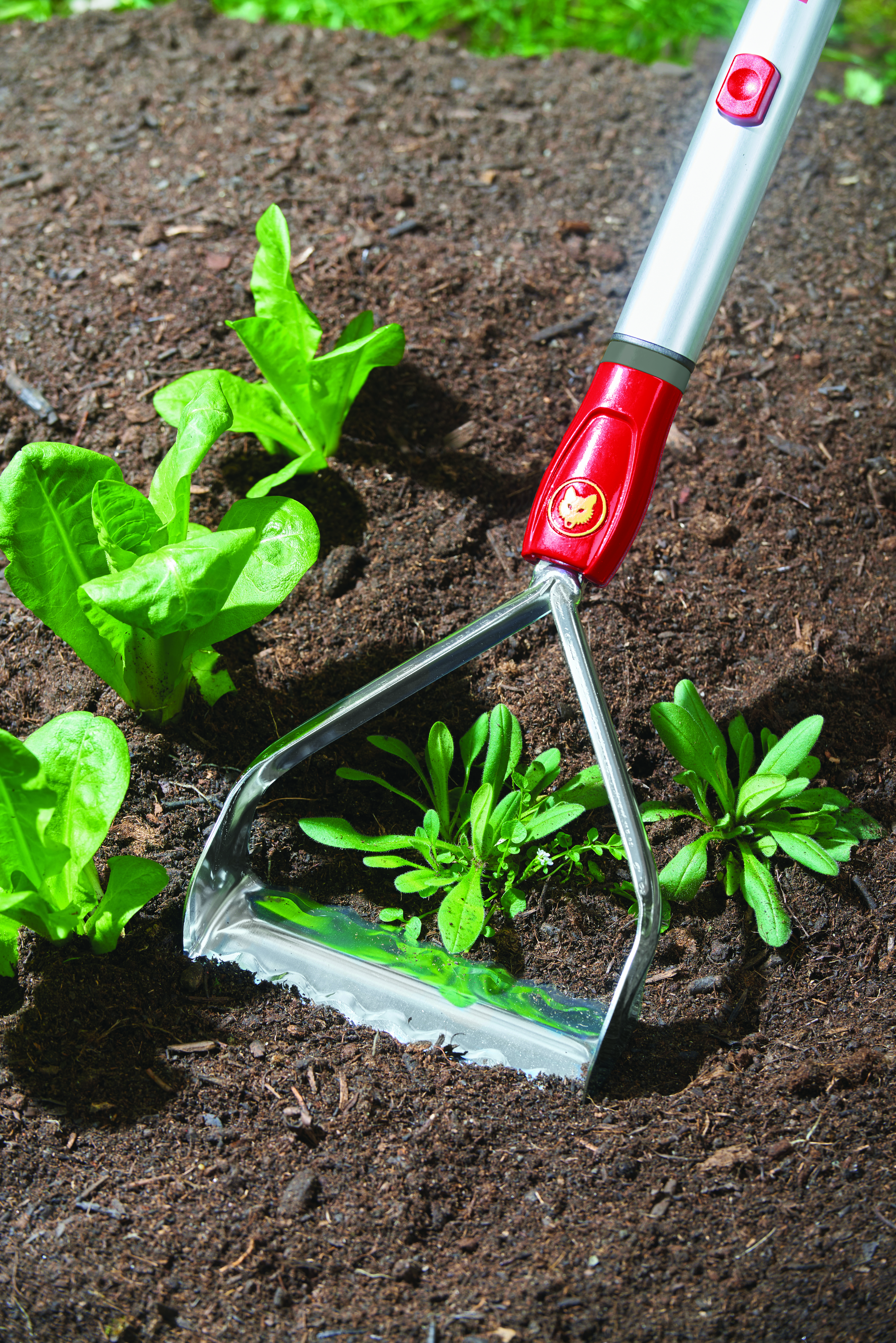 650_71_RF-M_B10_2018_01_71AAA015650 copy.jpg