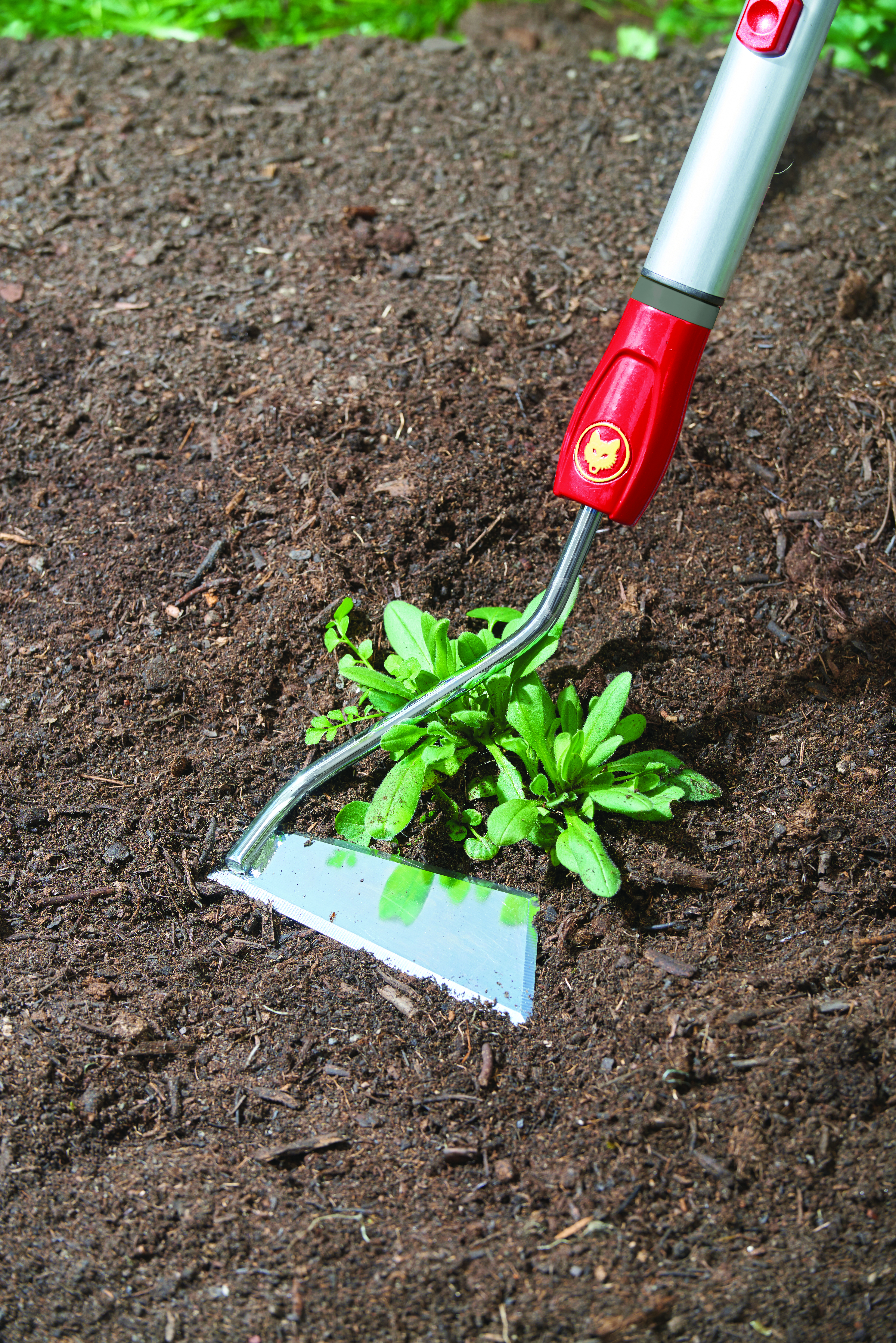 650_71_SH-M_B10_2018_01_71AAA016650 copy.jpg