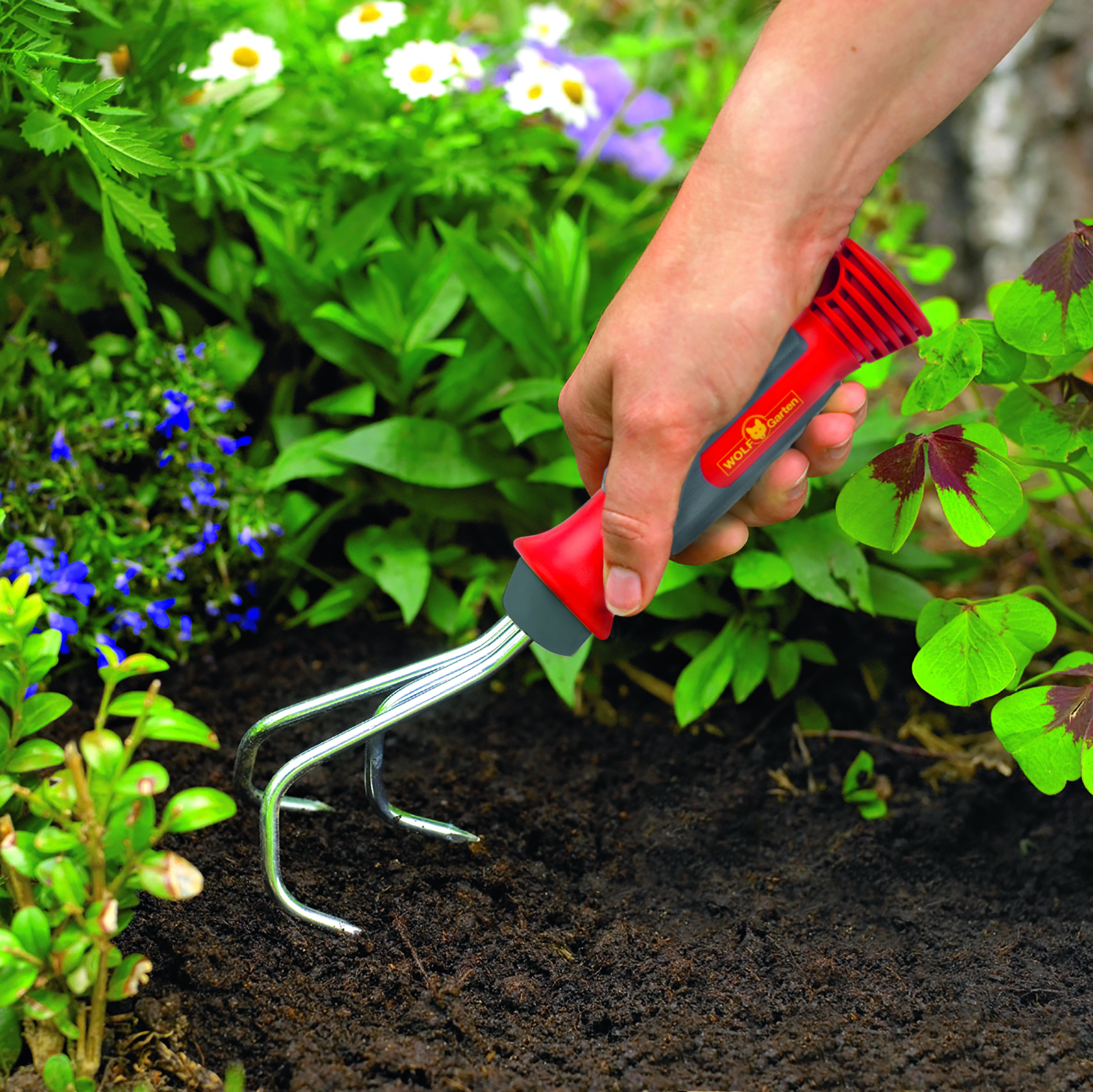 650_72_KA-2K_B10_0811_01 copy.jpg