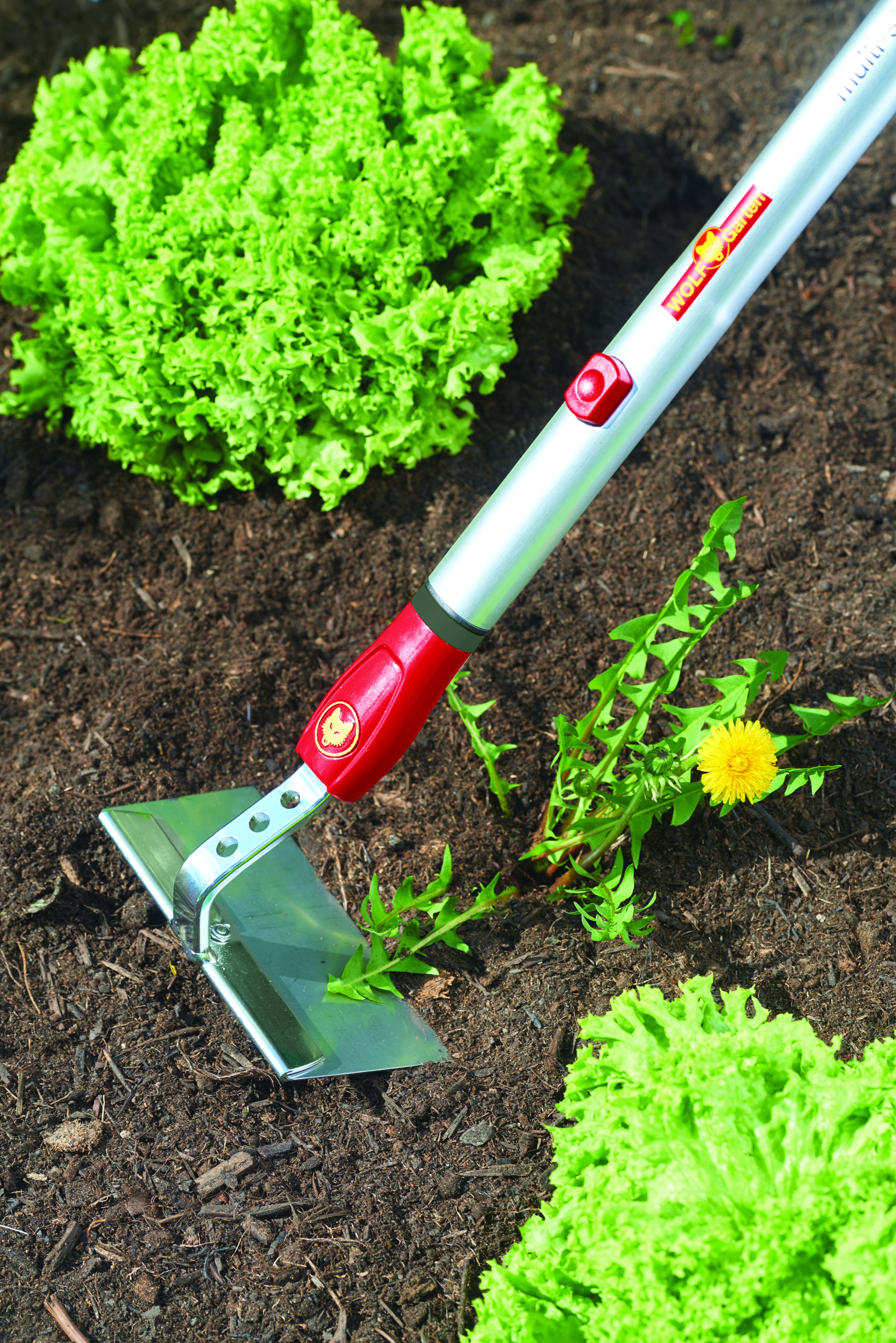 650_71_HW-M15_B10_2018_01_71AAA008650 copy.jpg (1)