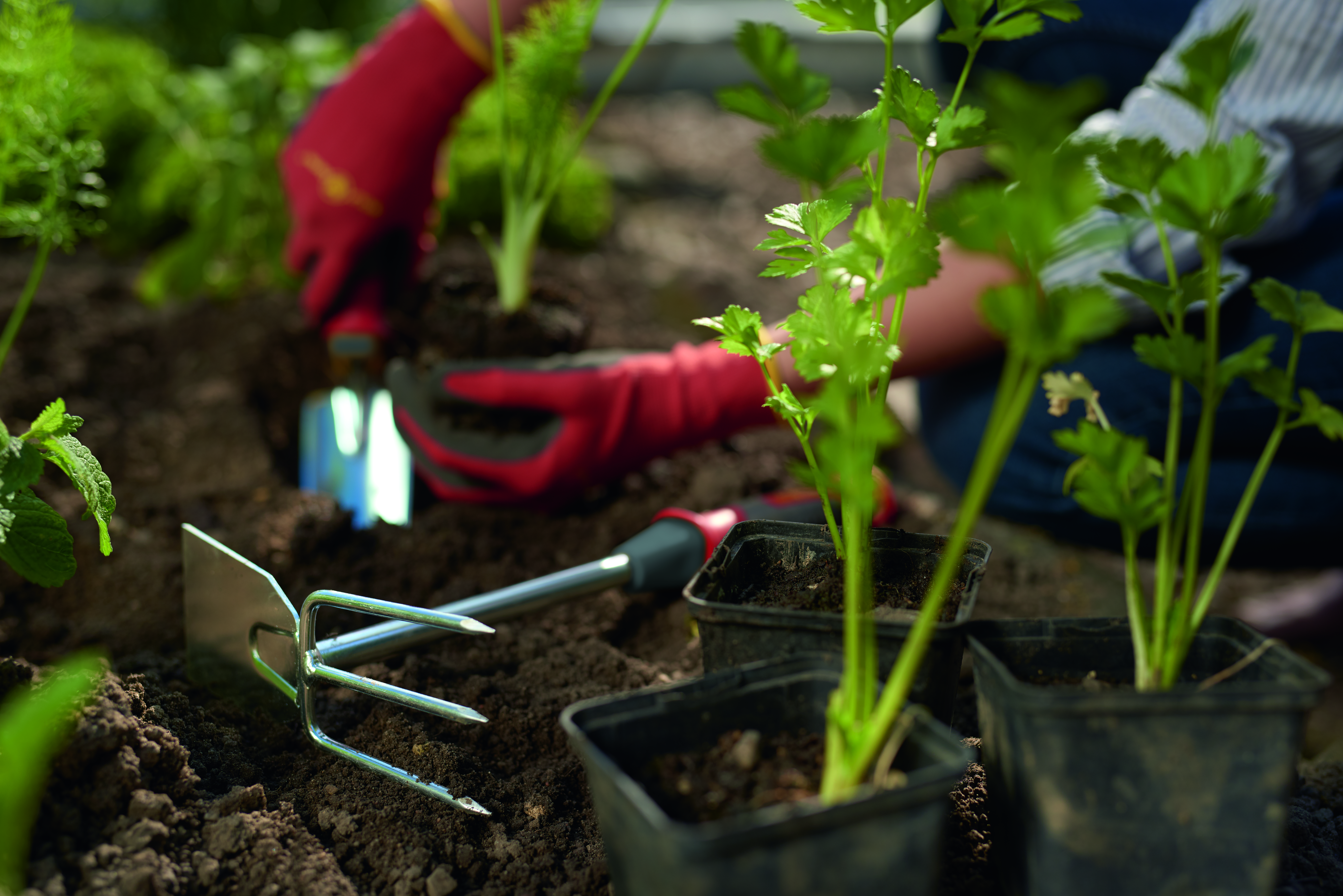 650_99_Garden-Tools_B10_2019_05 copy.jpg